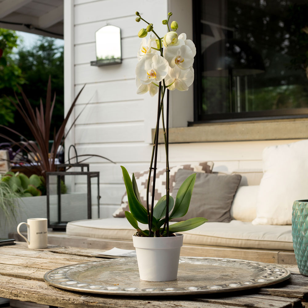 Pot de fleur rond en jade - ⌀ 37cm - blanc - moderne industriel élégant -  avec trou de